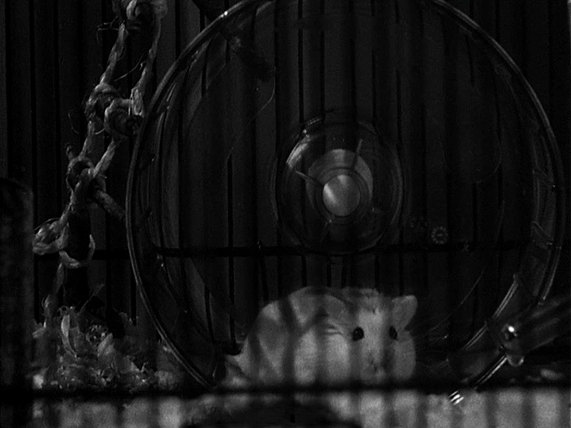 Blinders short film Directed by Alex Watson. DOP Arturs Sulbergs / Artūrs Šulbergs. Short fiction film Blinders (2016). Made at UCA Film school / University for the Creative Arts. Shot on 16mm Kodak film on Bolex.