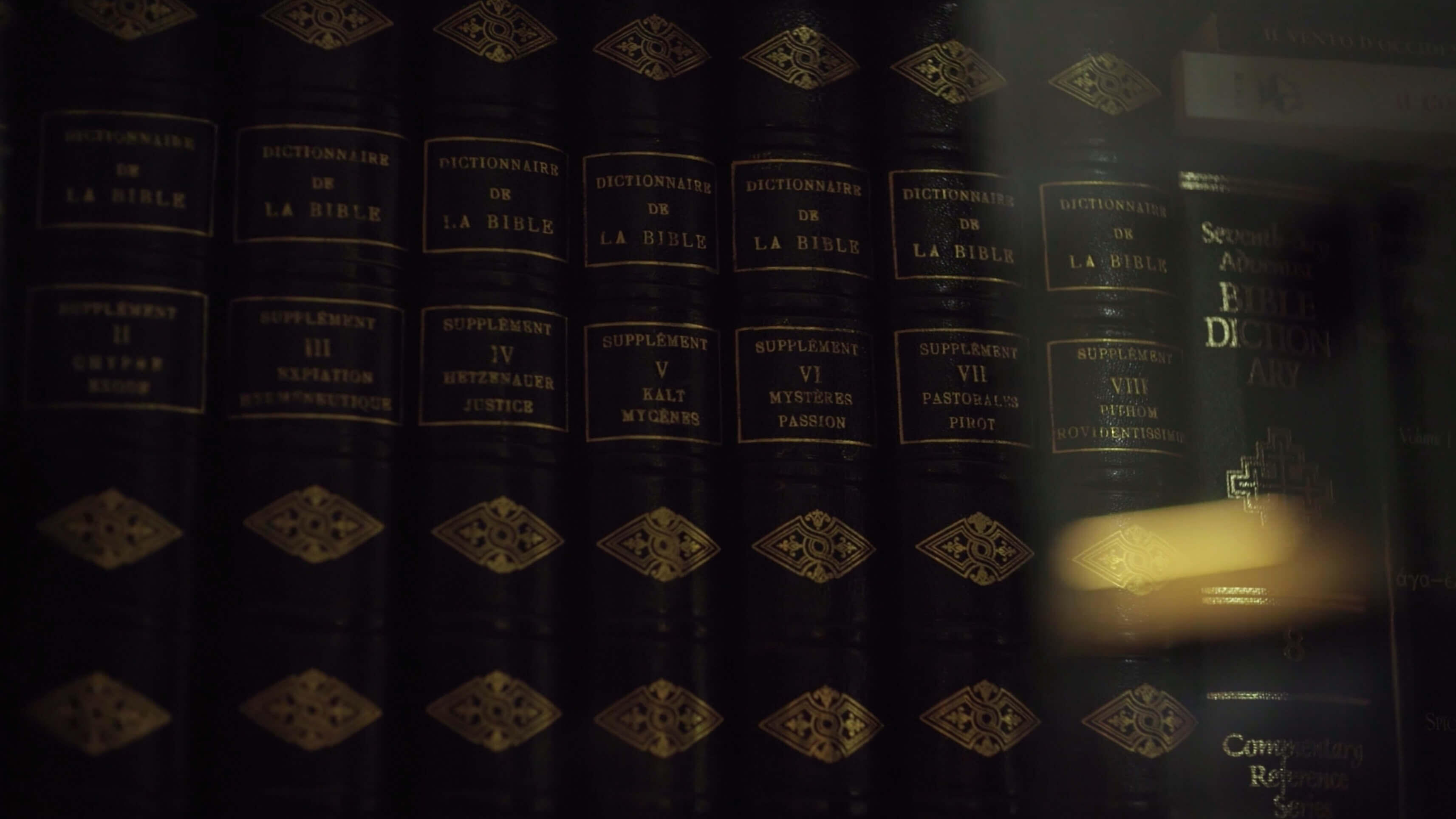 Zbigņevs Stankevičs: Bibliotēka Short web docu-series. Directed by Daiga Bitēna and Artūrs Šulbergs. Zbigņevs Stankevičs : Bibliotēka (2019) An episode of "Bibliotēka" featuring Zbignevs Stankevics. What is literature and what is a library?