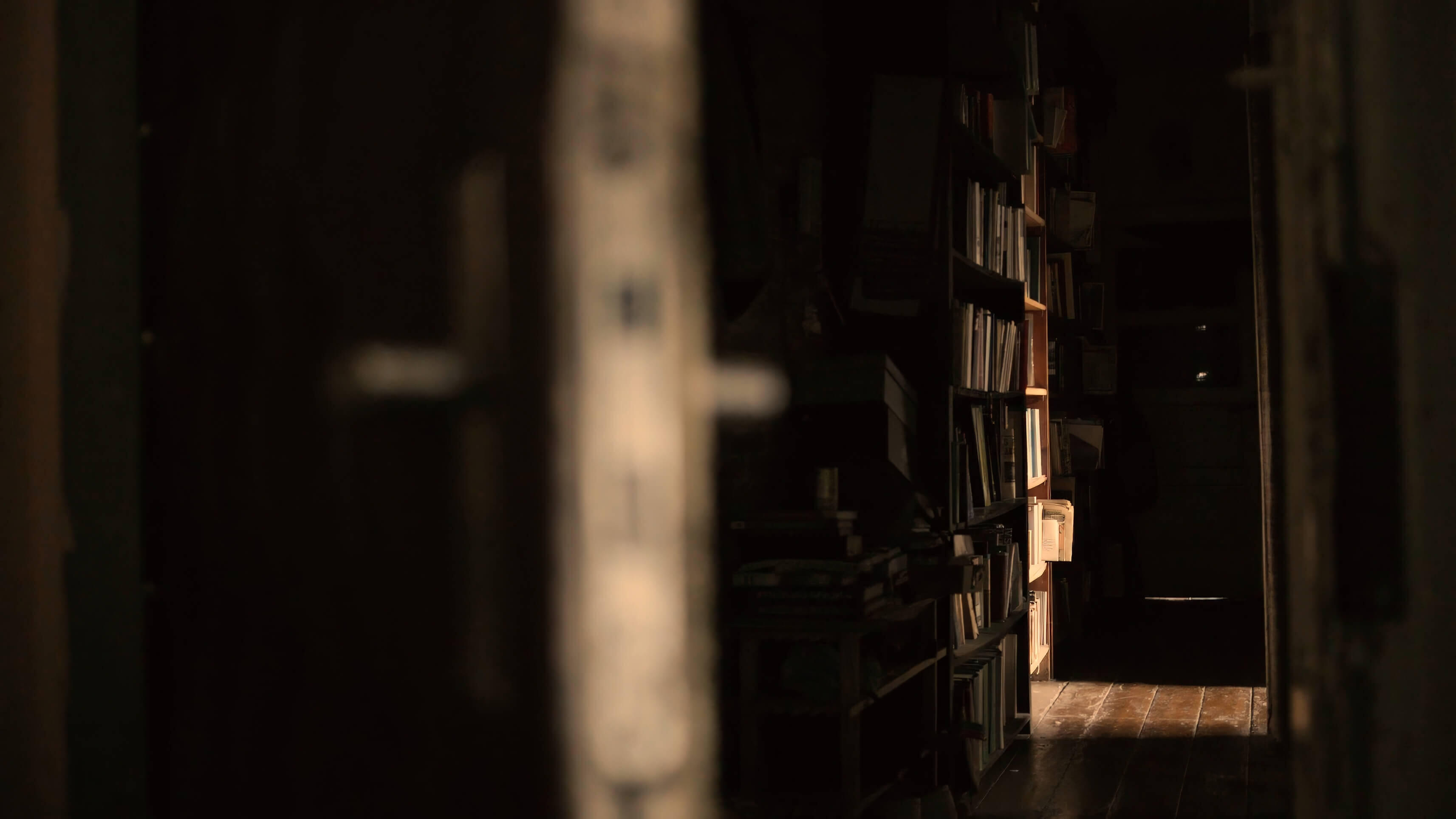 Directed by Daiga Bitēna. DOP Arturs Sulbergs / Artūrs Šulbergs. Uldis Berzins / Uldis Bērziņš : Bibliotēka (2019). Episode from "The Library" featuring Uldis Berzins / Uldis Bērziņš - critically acclaimed literature translator and poet.