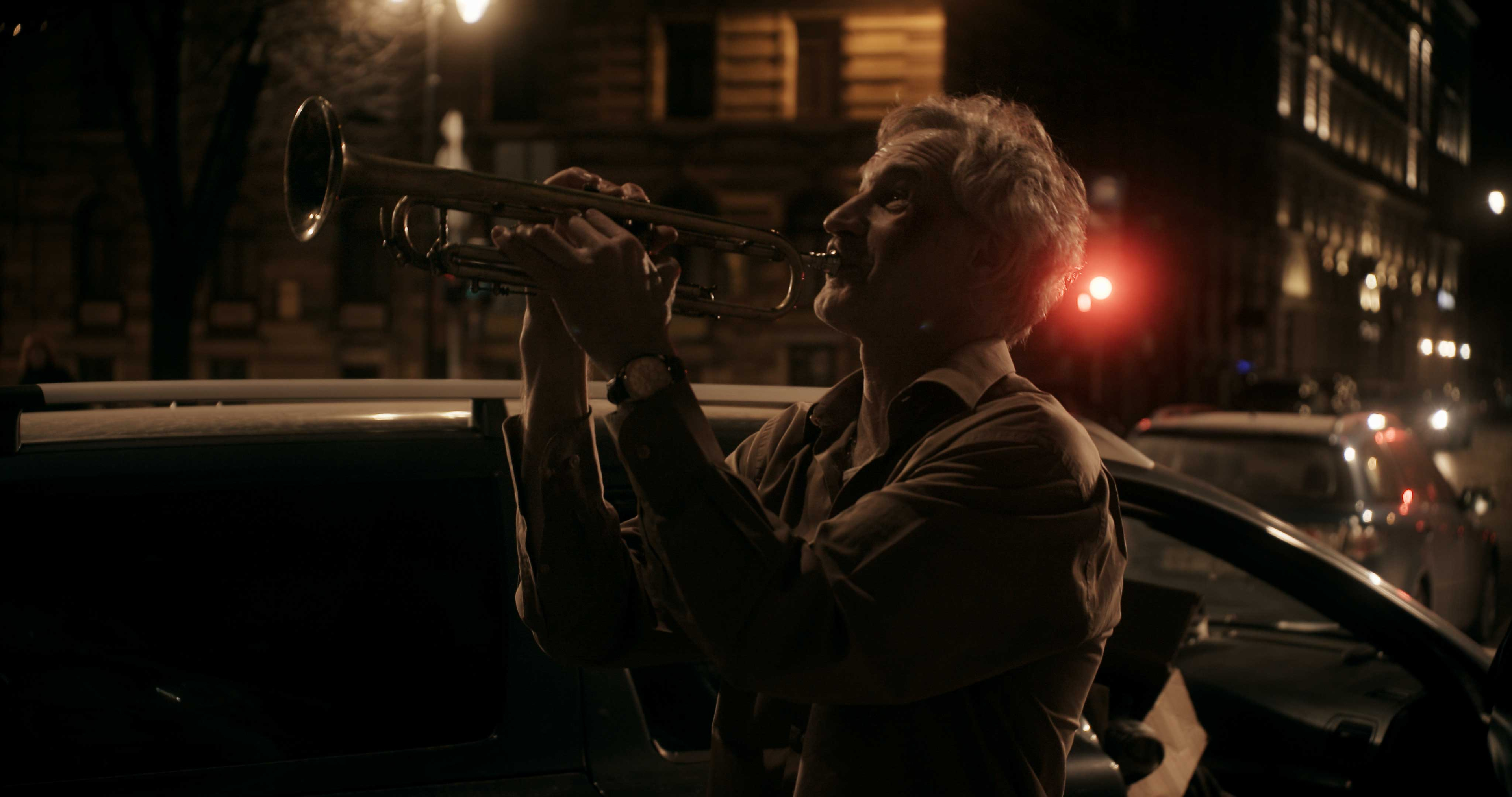 An Accident with Citizen Zarins